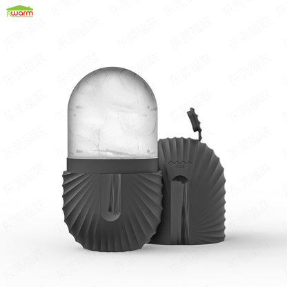 Facial Ice Roller